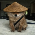 PANDORAA member profile picture