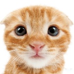 maggotspurple member profile picture