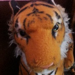Abdur691 member profile picture