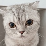 Nerfog999 member profile picture