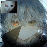 senpa member profile picture