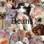 UnlickyLowPingGamer member profile picture