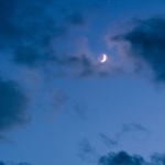 Lozerr_ member profile picture