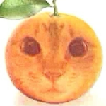 YvngSunyx member profile picture