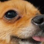 Euhhan member profile picture