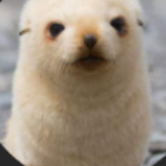 tomthellama11 member profile picture