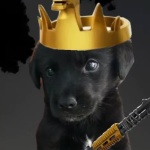 Logan_Rodriguez member profile picture