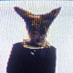 bvrdia member profile picture