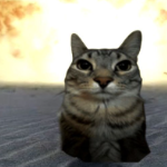 RenderStormX579 member profile picture