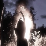 Moonlight_Echo member profile picture