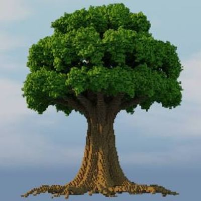 Lucky trees