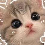 CrystalCat1239 member profile picture