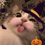 ZairethCatLoverMC2014 member profile picture