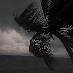 mystrdv member profile picture