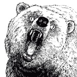 PythonBear member profile picture