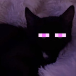 View Duk3lo's Profile