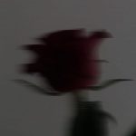 user_06qeozfh9omavz9n member profile picture