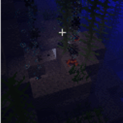 Mineral Collector