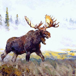 LavenderxLobo13 member profile picture