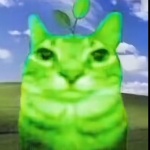 Poemfresh18 member profile picture