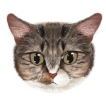 GrimmDRandom member profile picture