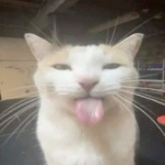 Fadd member profile picture