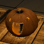usrjade member profile picture