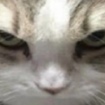BlinkleDun225 member profile picture