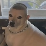 Yulianz_creator member profile picture