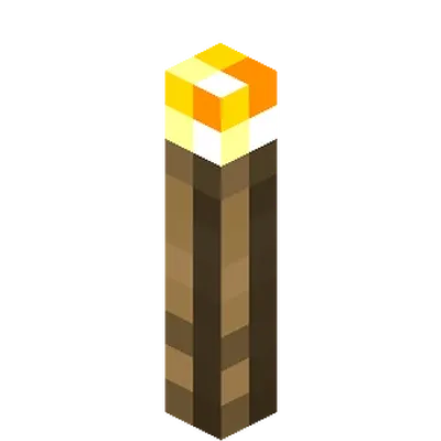 Torch Reminder