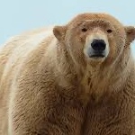 View gamer1233333's Profile