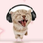 OpiDopi member profile picture