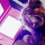 mandywav member profile picture