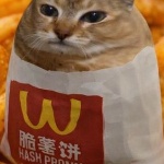 Gatowebinaso_MC member profile picture