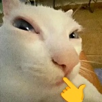 Najlepsiejszykot member profile picture
