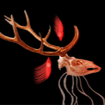 View DrSkyhook's Profile