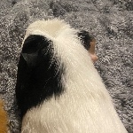 View Erickson_TM's Profile