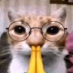 Flukky member profile picture