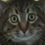einrandomtyp_ member profile picture