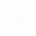 LittleBeetle member profile picture