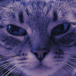 ephemeralsweven member profile picture