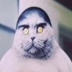 View negodyi's Profile
