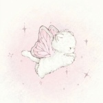 Starstufff member profile picture