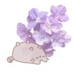 user_rdykhflrr2eays1s member profile picture