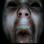 MilitaryOperator member profile picture