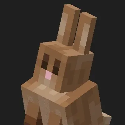 Bunny Backport