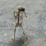 Skeleton_creator member profile picture