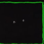 Uhh_idk member profile picture