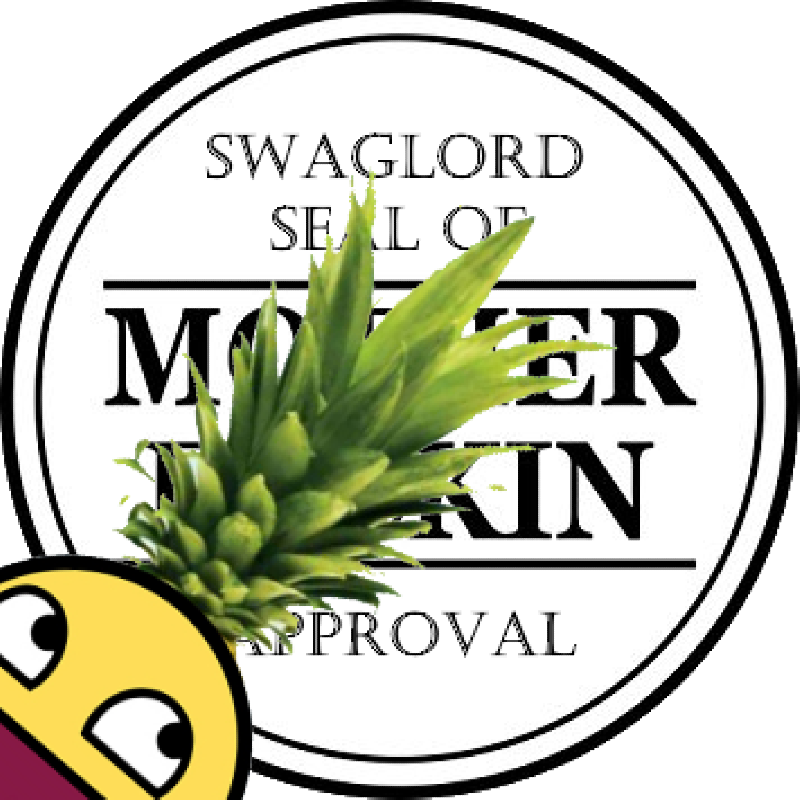SwaggaMine-CustomStuff