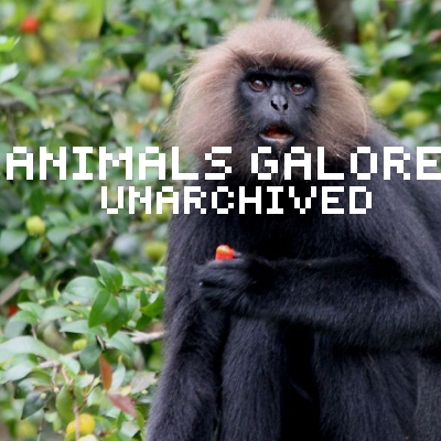 Animals Galore Unarchived logo